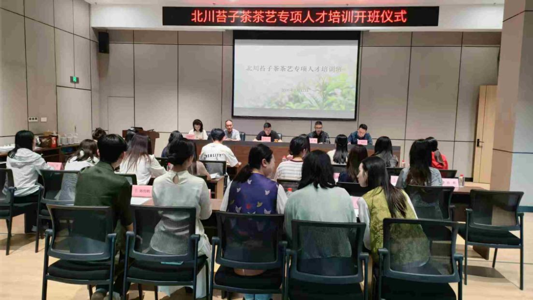 夯实人才根基 赋能茶产业品牌提升北川苔子茶茶艺专项人才培训正式启动